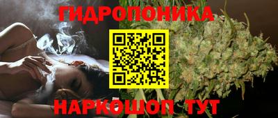 бошки Можайск