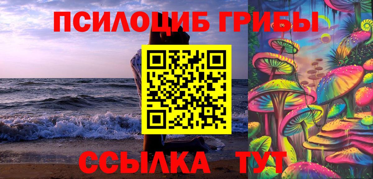 Псилоцибиновые грибы GOLDEN TEACHER Арсеньев